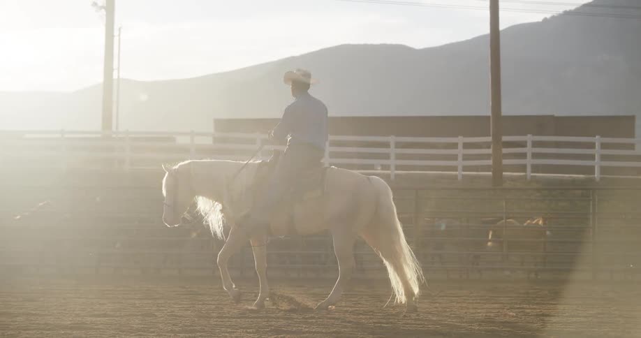 Man riding a horse in a sandfilled ranch