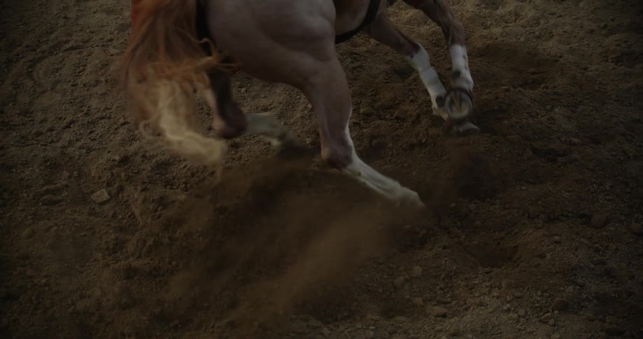 The horse races around the barrel