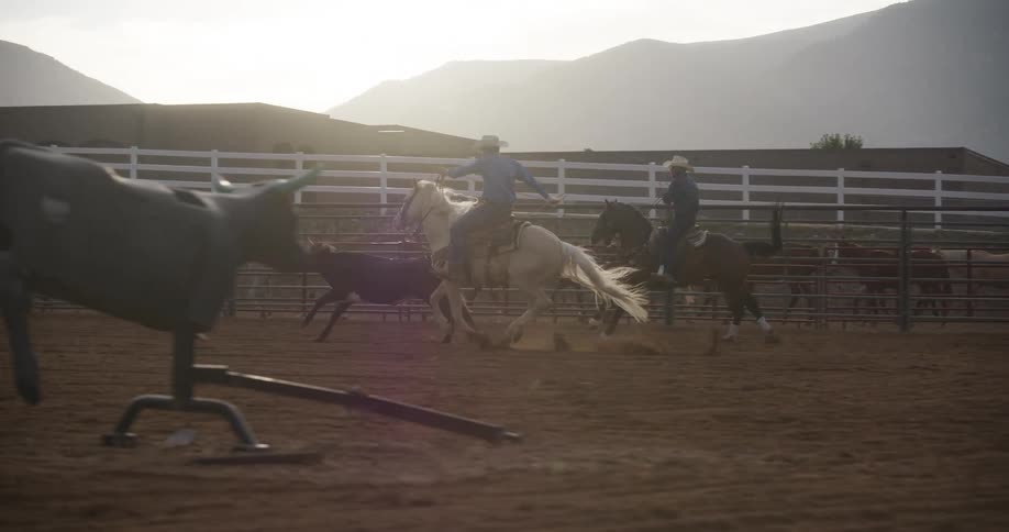 Two cowboys riding on horses while chasing a cattle