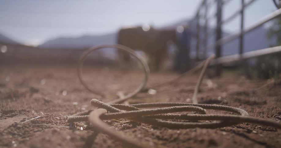 Horses in an outdoor ranch with a man beside them