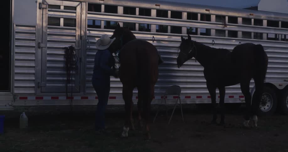 A woman puts a saddle on a horse