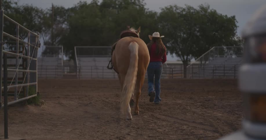Woman leads horse into fenced paddock