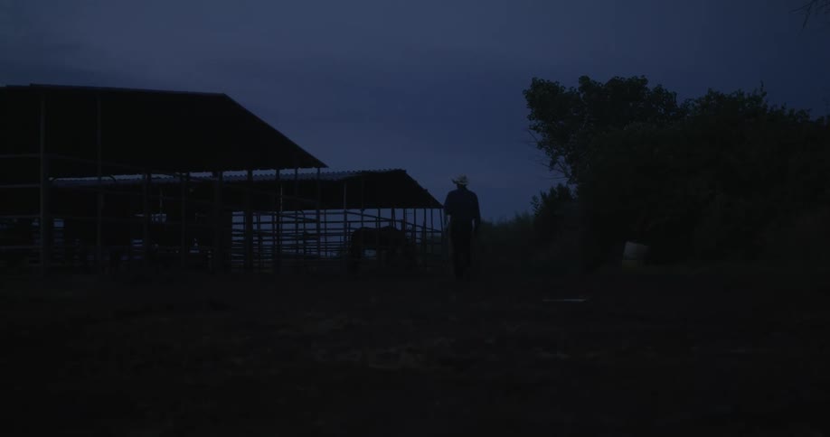 A person walking on a ranch one night