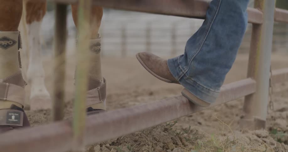 A person is leaning on the fence by the horse