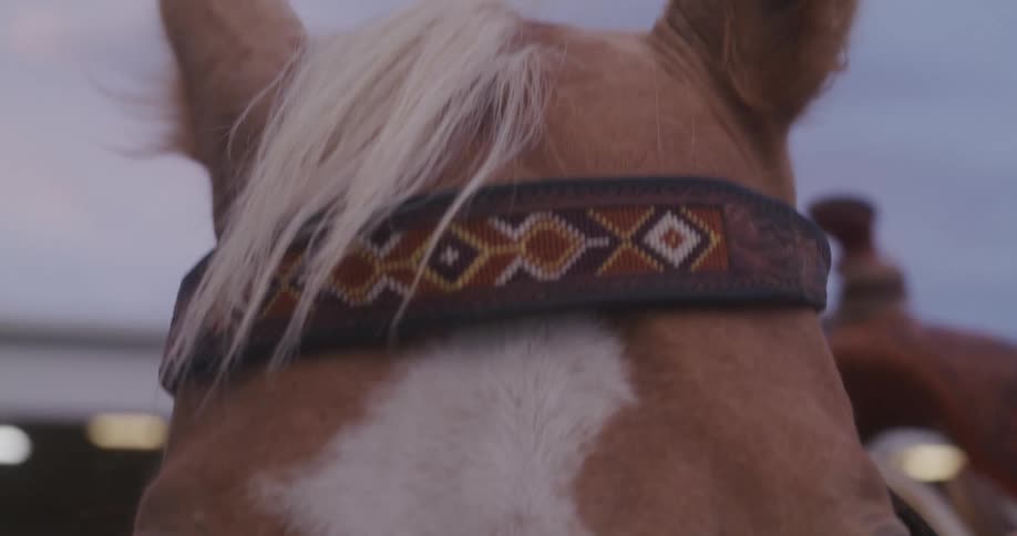 Woman tightens bridle on horse while standing outside building