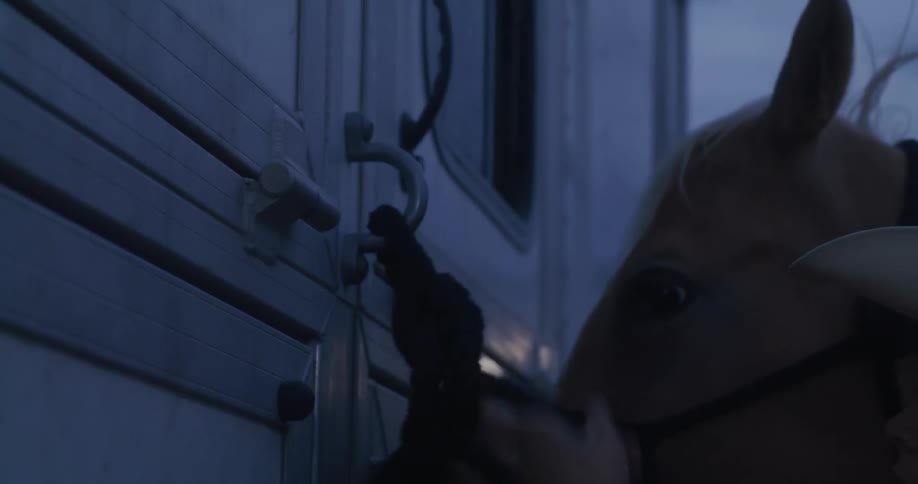 Lady on cowboy hat ties a horse to a door at sunset