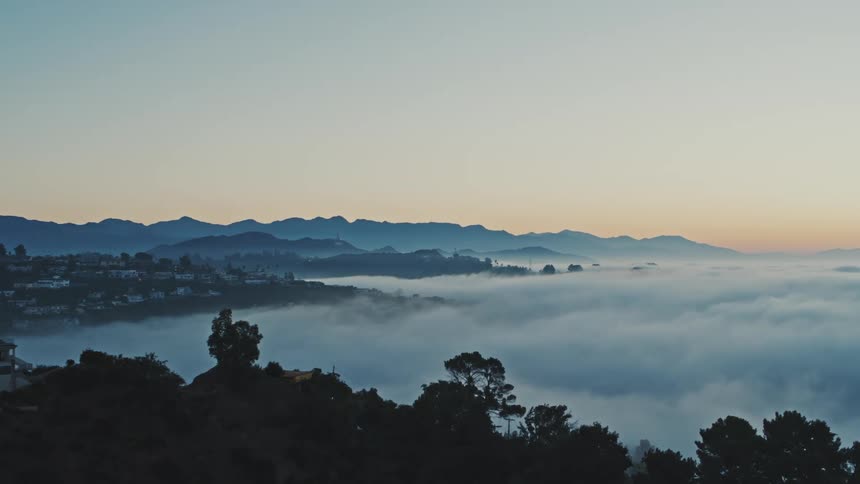 The camera tracks through trees towards homes in the Hollywood Hills at sunset