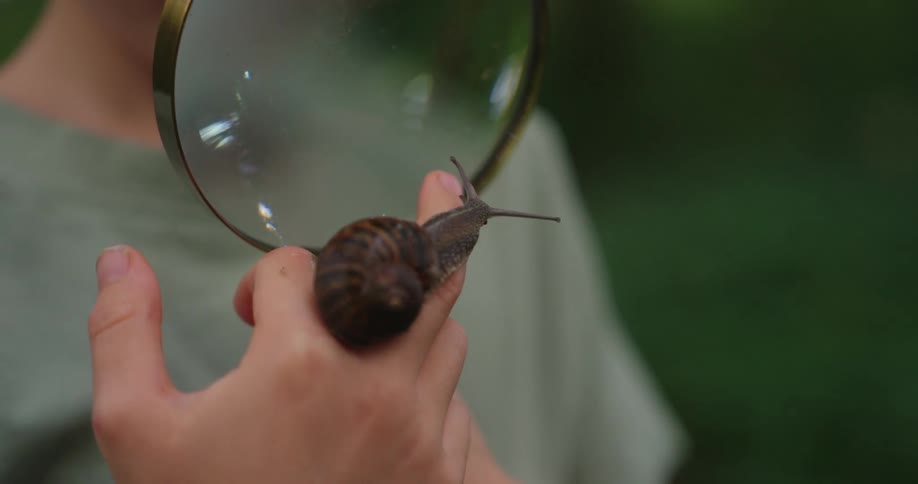 A close up picture of a snail on a persons finger