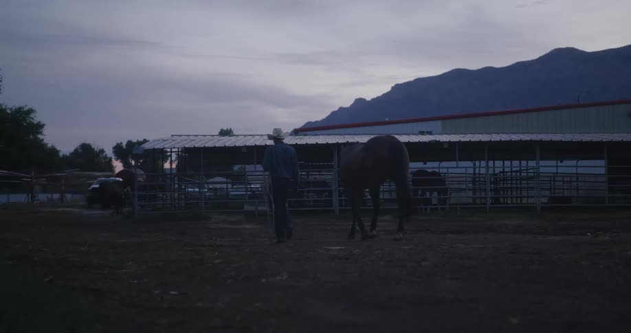 A man in a cowboy hat walks with a horse on a ranch