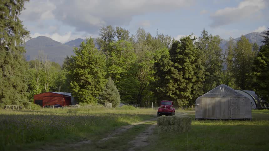 Vintage red truck driving on the countryside