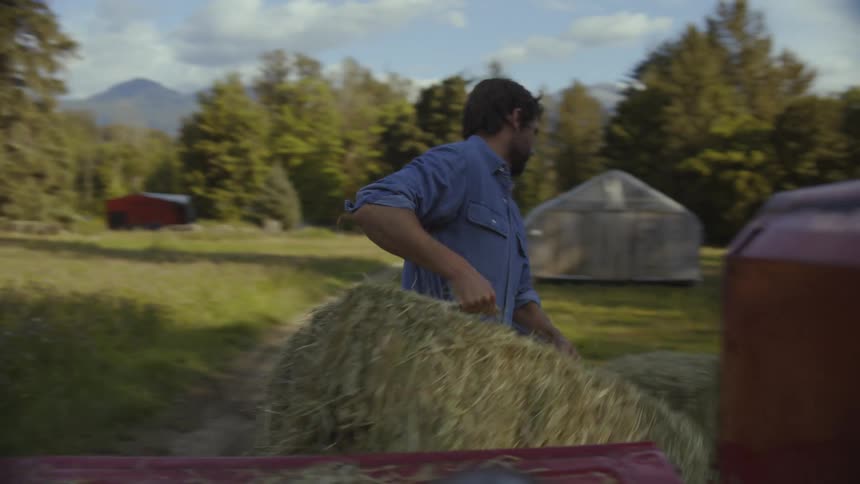 A male farmer taking hay out of the back of a car