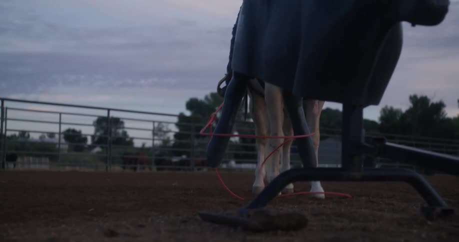 Cowboy riding a horse practice throwing a lasso