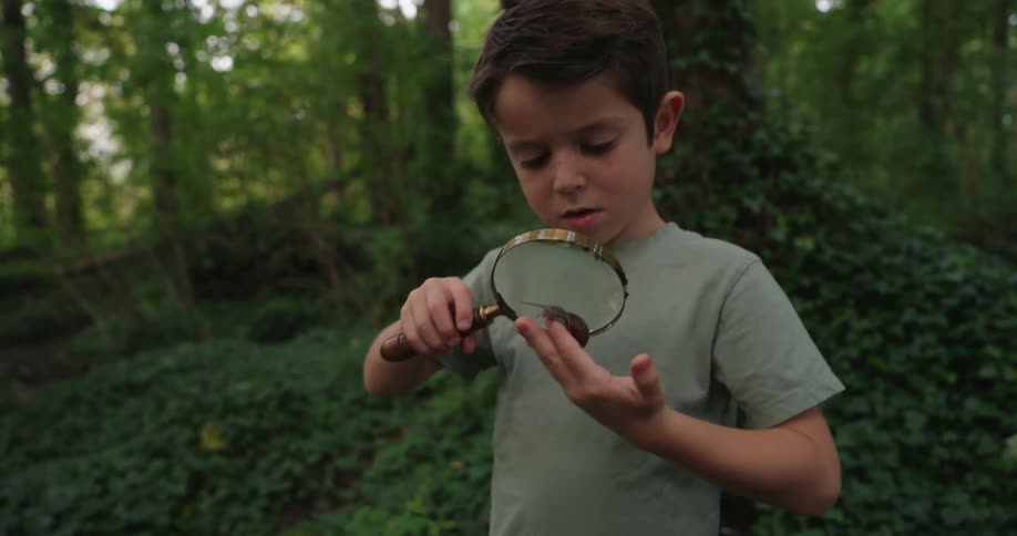 A young boy holds a snail on his finger and looks at it with a magnifying glass