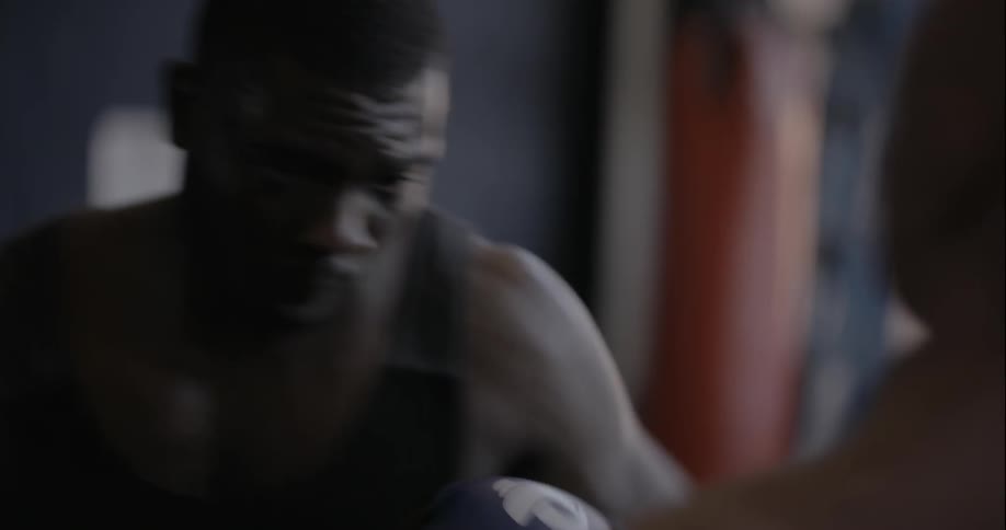 Boxer practicing his trade with a dummy
