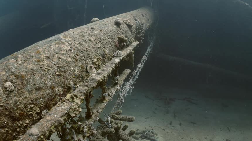 Wreckage on the ocean floor with corals and reefs and fish swimming around