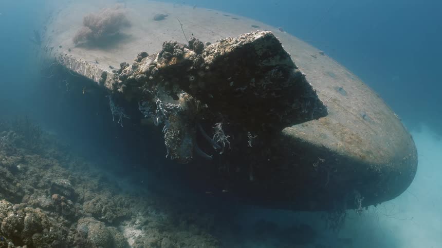 Deep under the sea a ship reck lies below
