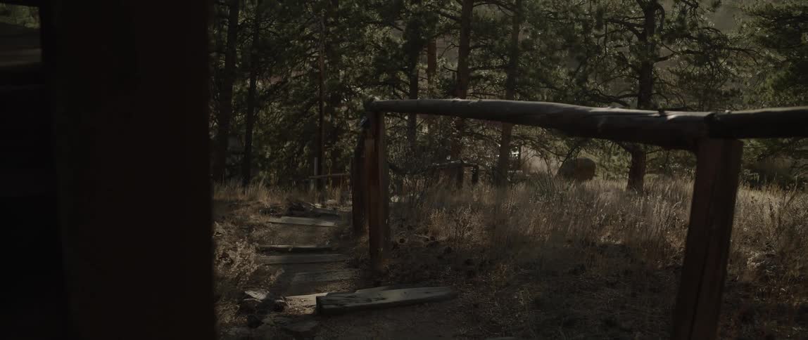 Wooden steps lead to the woods