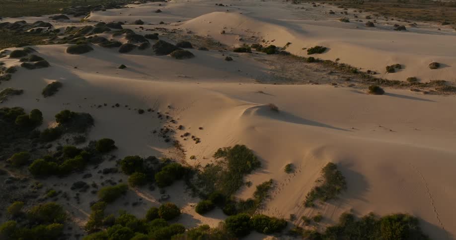 A bumpy desert filled with rocks