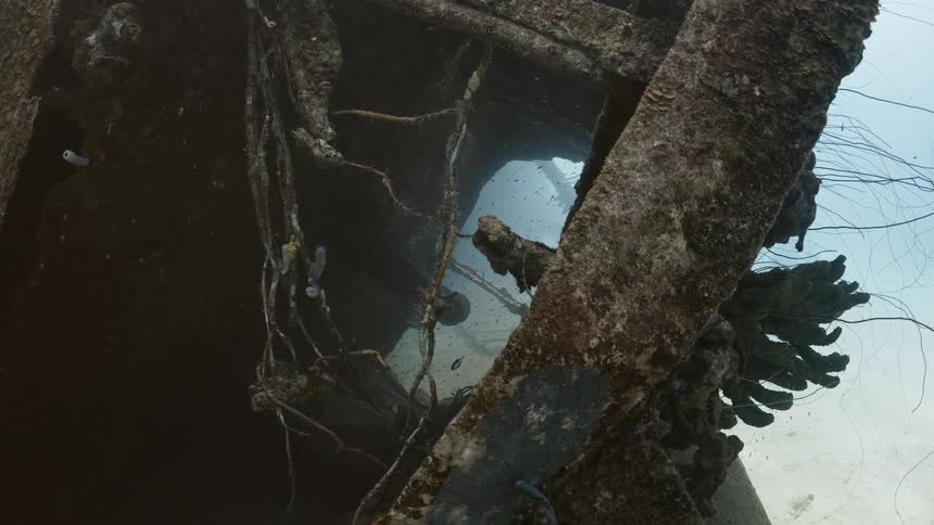 Wreckage on the ocean floor covered with silt with fish swimming around