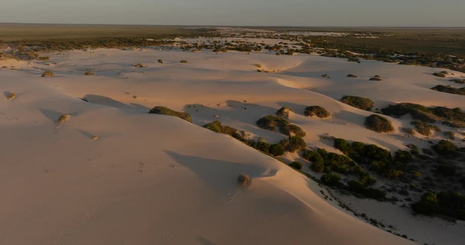 The landscape is covered with sand and moss