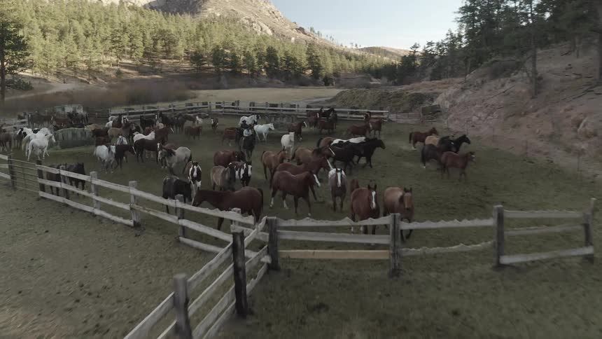 Aerial of a ranch with horses in a corral