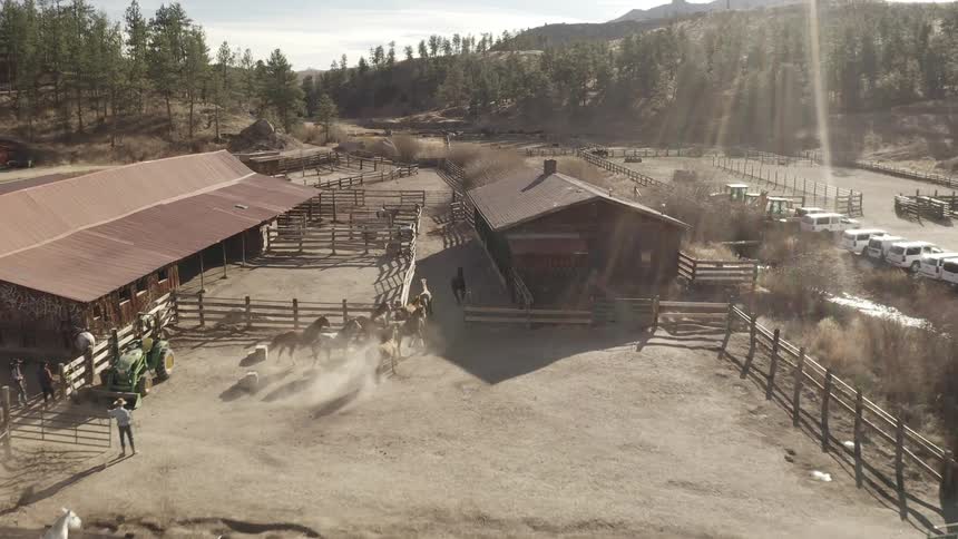 Several horses are heading towards a stable