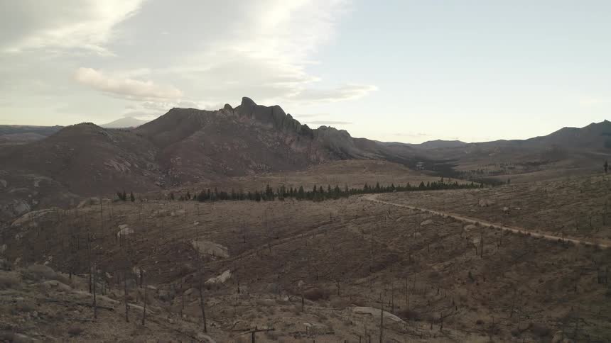 Dirt road passes through arid territory on route to conifer woods and mountain on a cloudy day