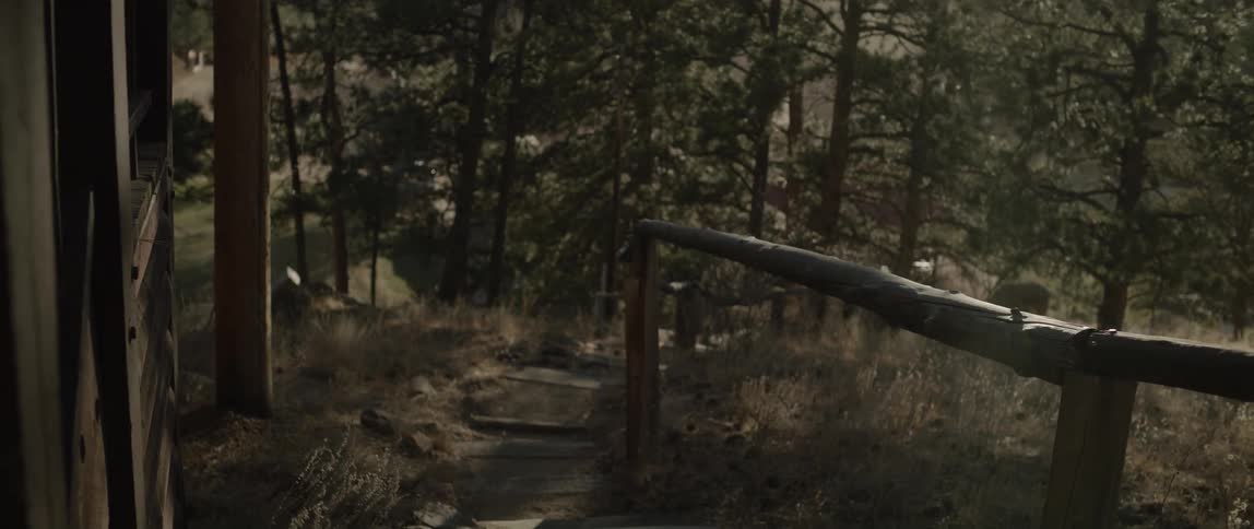 A path with wooden handrails that leads into a forest