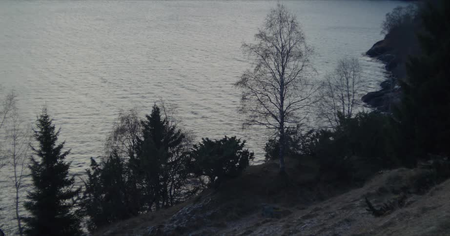A hill slope adorned with trees providing a panoramic view overlooking a serene body of water