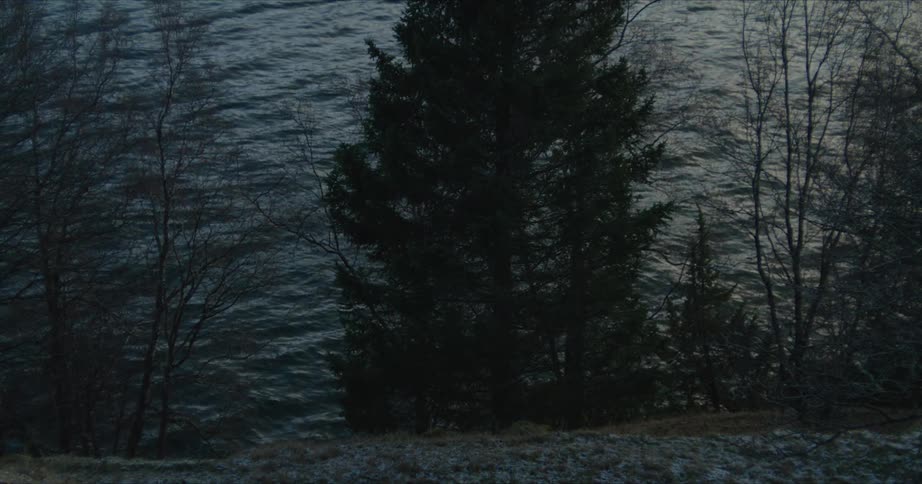 Lake side at sunset