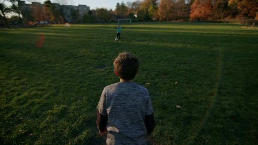 The distant child takes a shot at the goal and scores in the soccer field