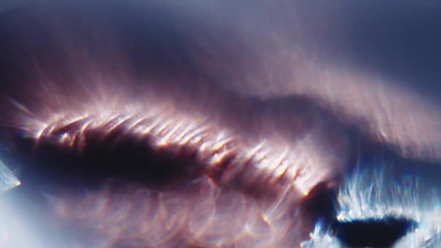 Abstract light reflection