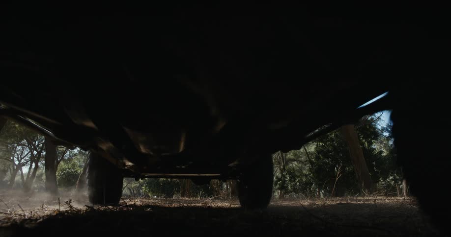 A 4x4 drives through a jungle