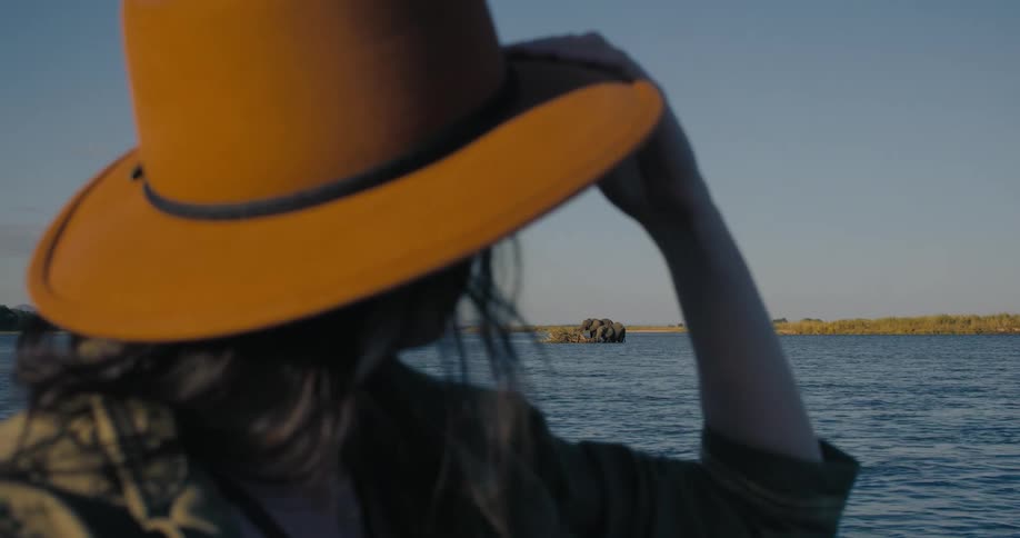 A woman in nature watching elephants in a river during the day