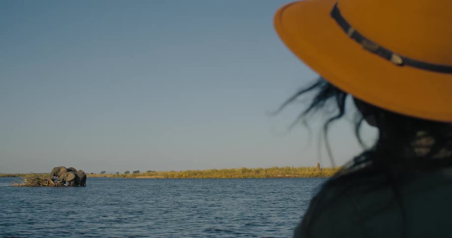 Two elephants stand knee in the moving water next to a small island of sticks close to the brown grass covered river bank as a woman in a yellow safari hat watches them while her hair blows gently in the wind