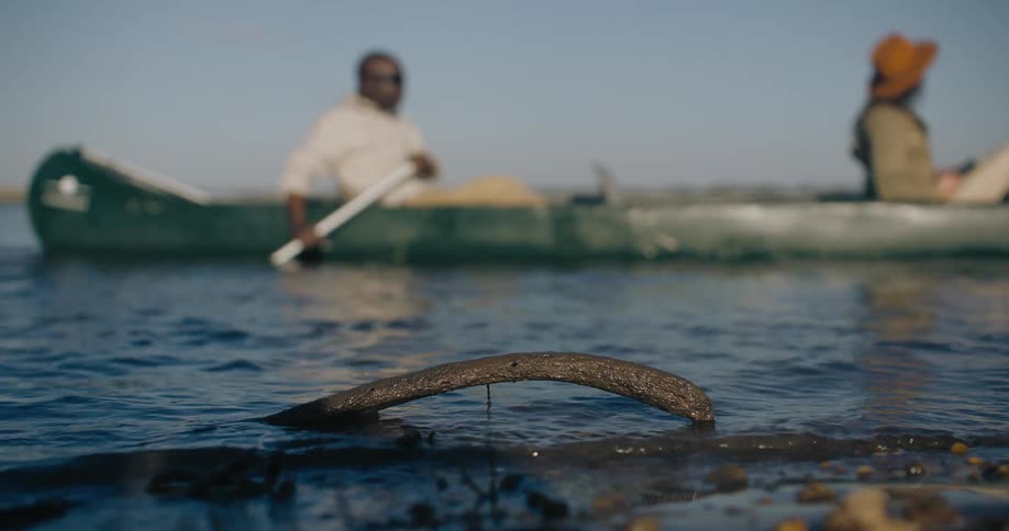 People taking a canoe ride on the lake during the day