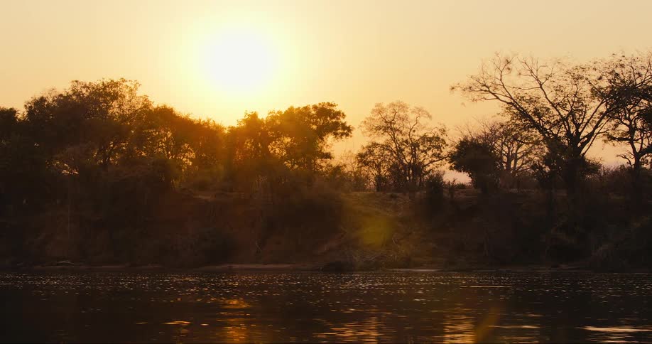 A river in the savanna during dawn