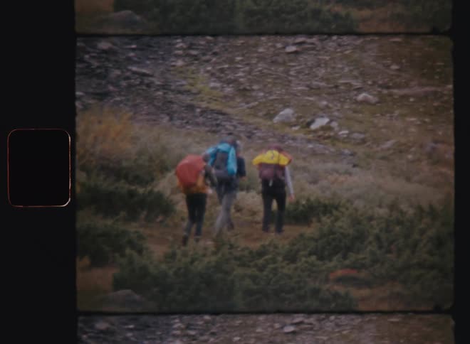 People walking amid the trails in nature