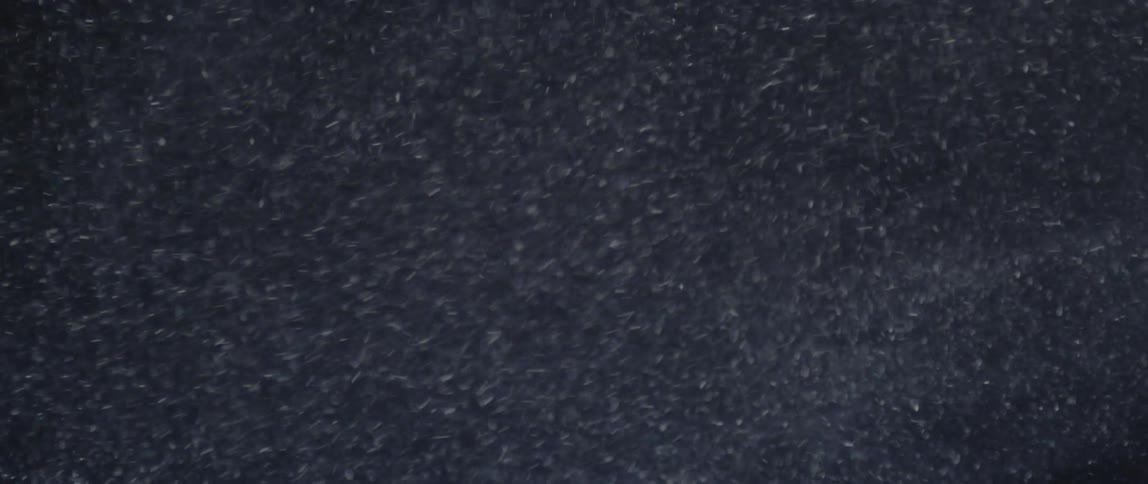 Several white particles moving quickly to the left