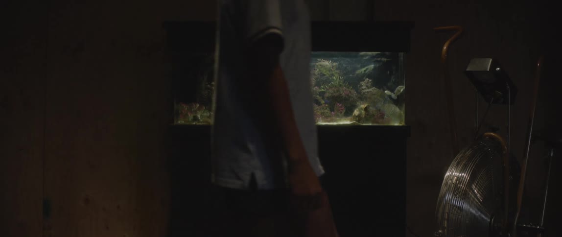 A clip of a black teenager walking past the aquarium
