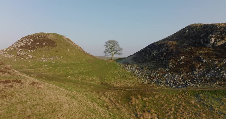 A single tree is between the hills
