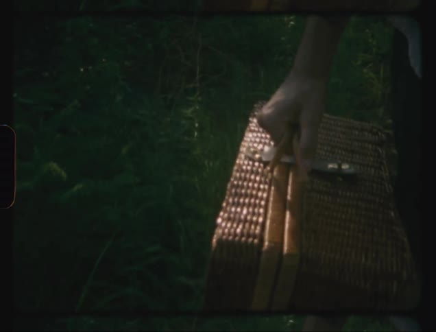 Couple holding hands walking outdoors in nature carrying a case