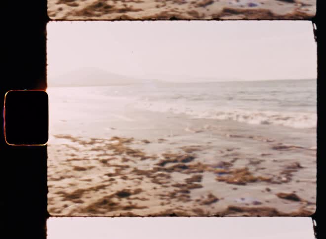 Ocean wave breaks against the sandy beach at sunset