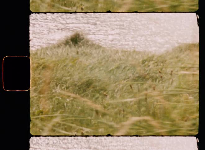 Panorama of a field by the sea