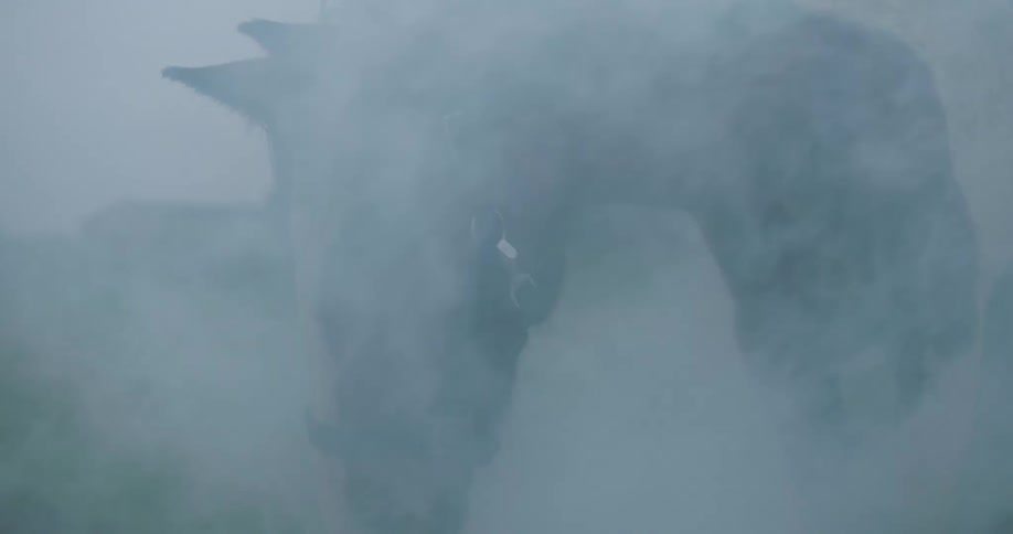 Smoke passing under a horse in an outdoor environment