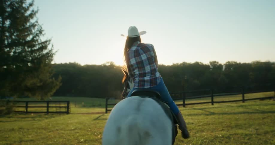Cowgirl riding a horse in a pasture in the morning