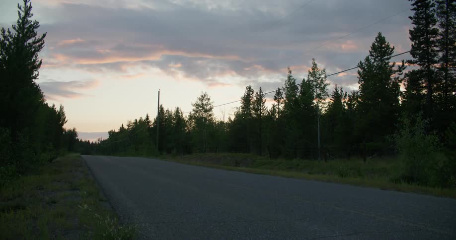 A deserted road cutting through the flat forest