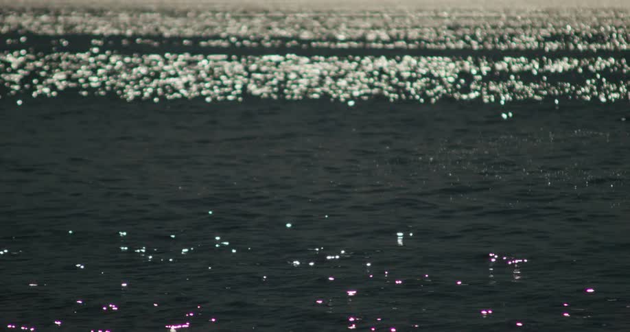 Ocean waves sparkle as they travel