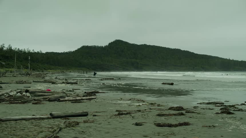 A person is walking on the littered beach
