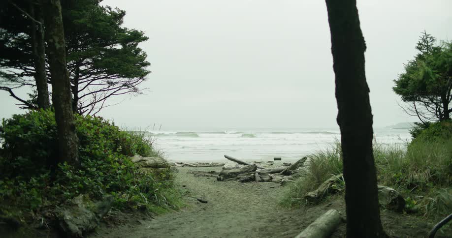 Person walking with their dog on a cloudy beach